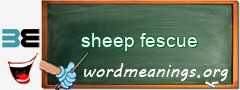 WordMeaning blackboard for sheep fescue